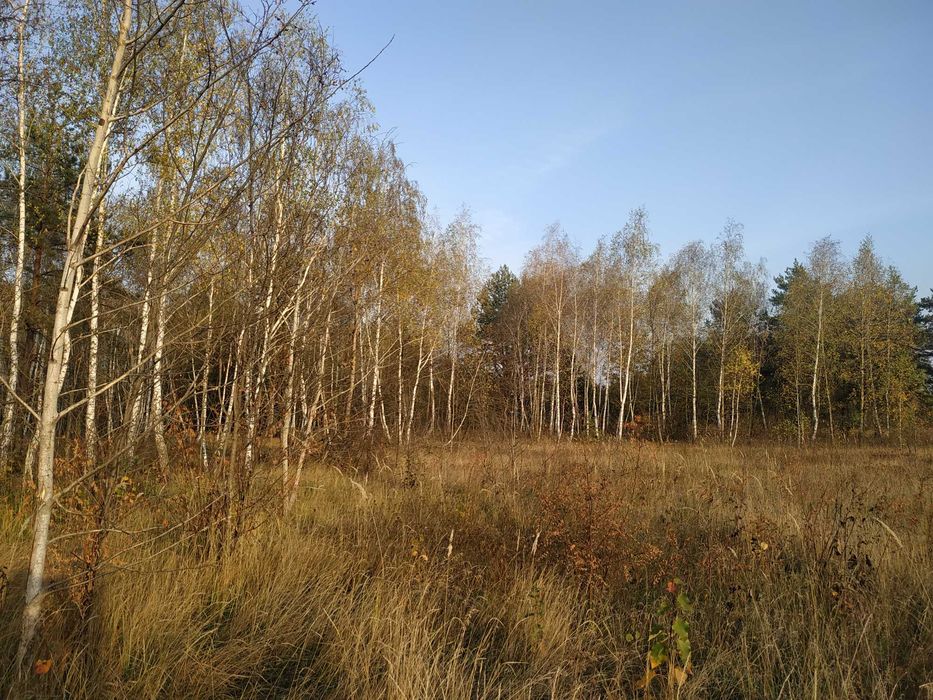 Продам ділянку 20 соток під забудову біля лісу с. Жукин