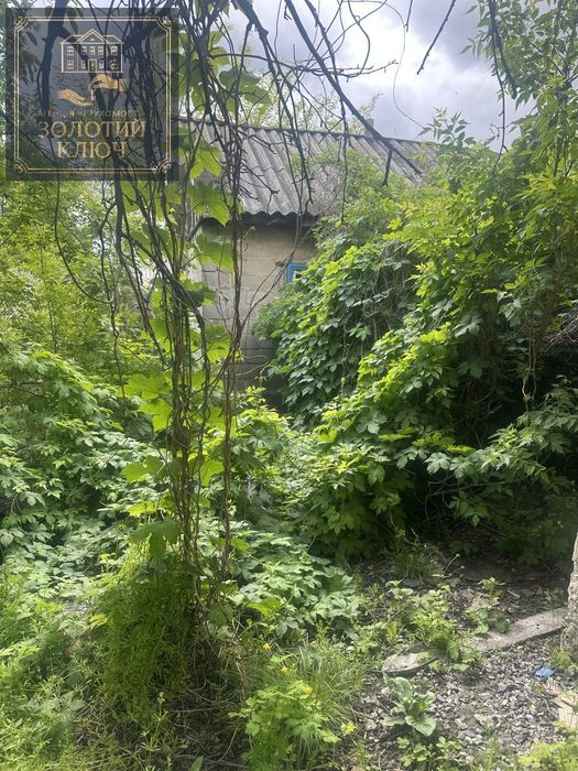 Будинок під зніс