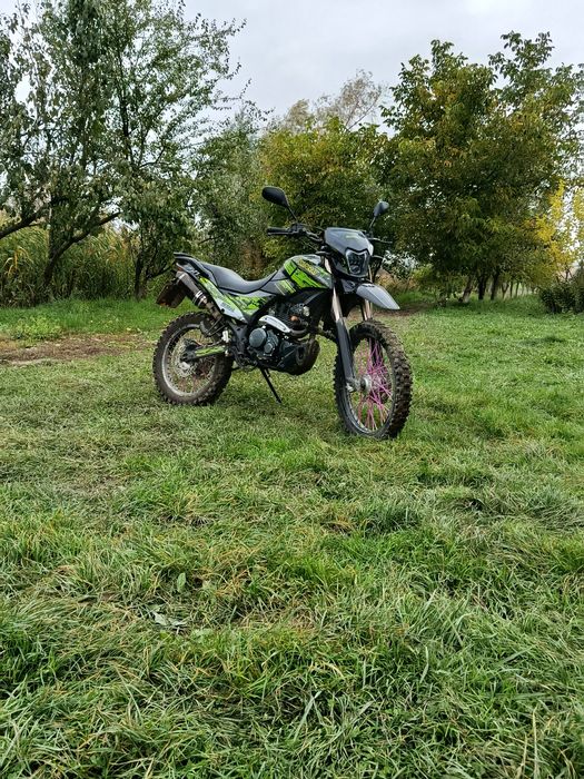 Продам шенерай 6ц