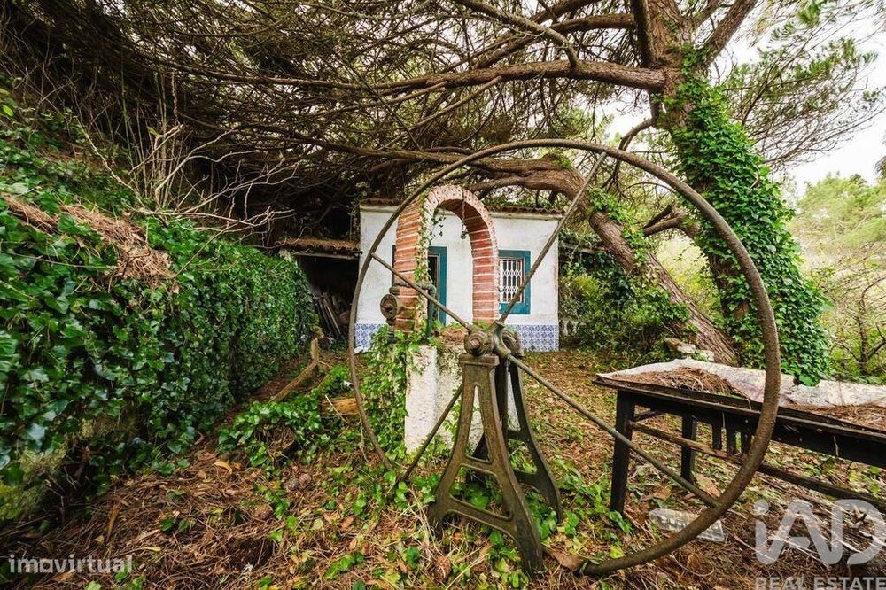 Terreno misto em Foz do Arelho