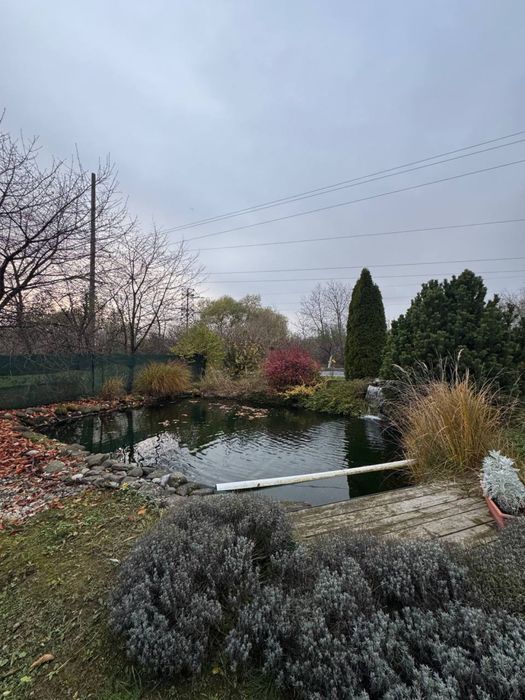 Дом по адресу Петефі Шандора пл. (площадь 337 м²) - Atlanta.ua - фото 8