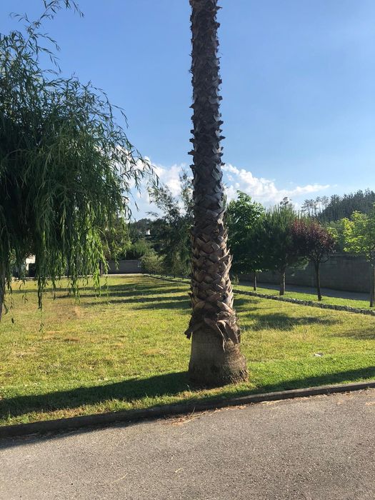 Quarto a alugar em Pombal