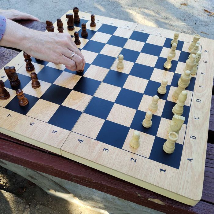 Шахматы. Нарды. Шашки. 3 в 1