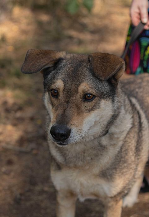 Ludwik - czy ktoś spojrzy na niego naszymi oczami?