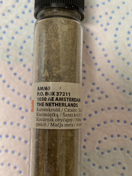 Ervinha de gato catnip