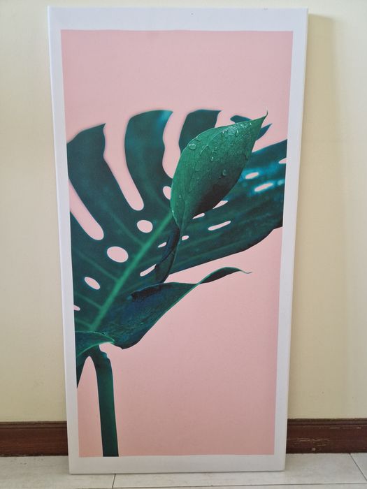 3 Quadros Plantas 40x80