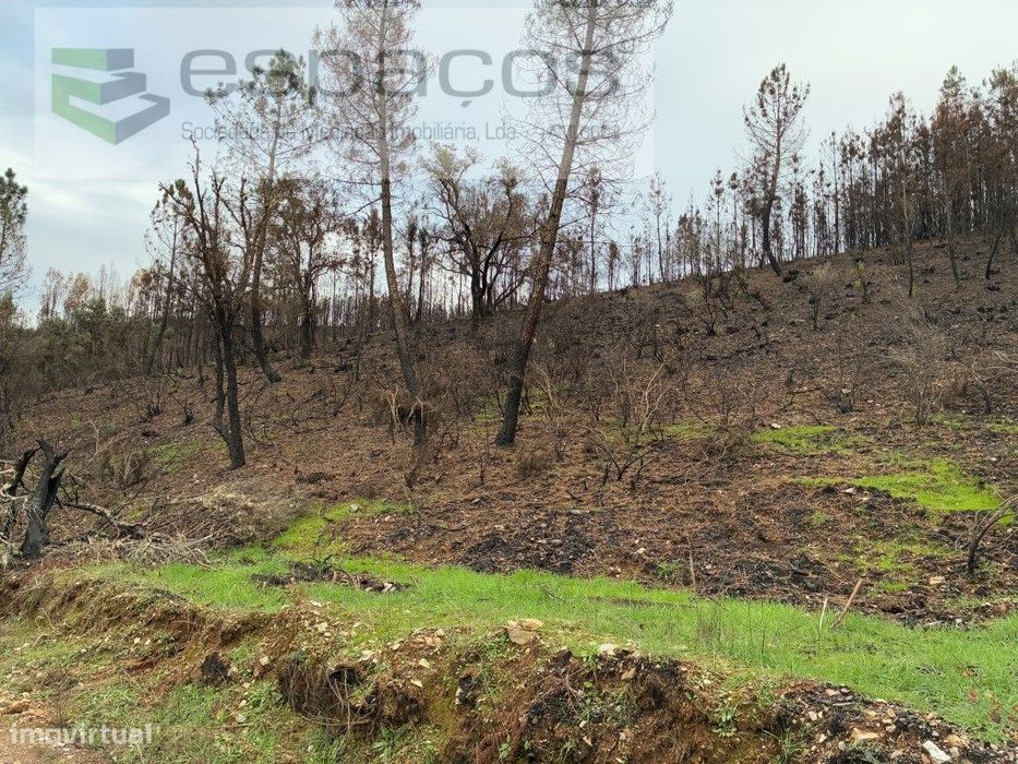 Cabeço dos Penedos