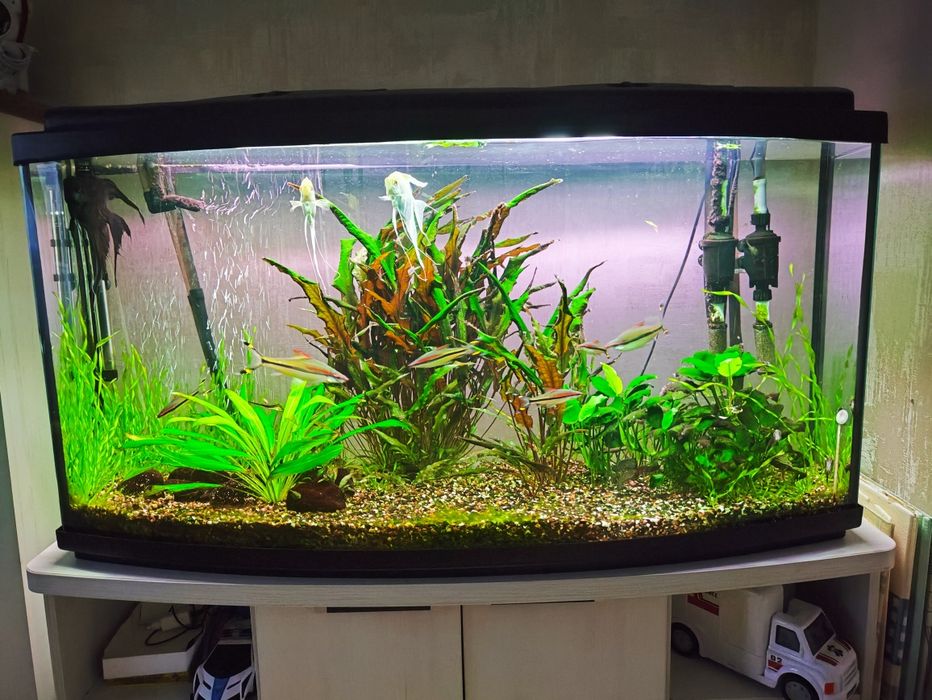 Продам акваріум 250л з всім приладдям, рибами та тумбою