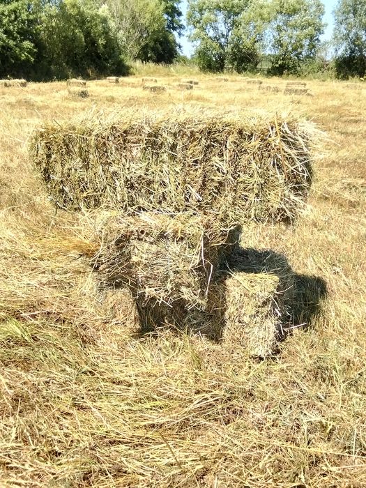 Продам тюки... Свіжий покос