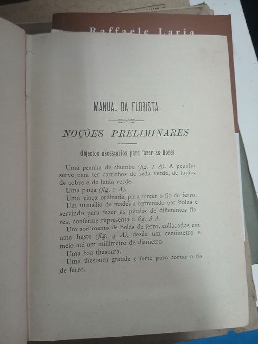 Beatriz Nazareth, Manual da Florista Para Fazer Flores Artificiaes