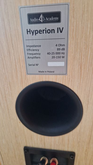 Kolumny podłogowe Audio Academy Hyperion IV