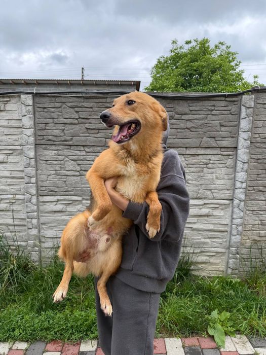 Роні , три роки шукє родину