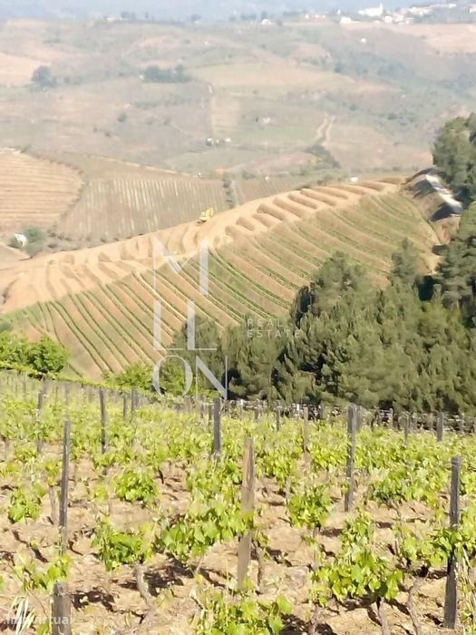 Encantadora Quinta com cerca de 3 Hectares de Tradição e Beleza Natura