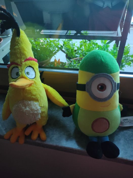 10 peluches Star Wars, Angry Birds, DreamWorks, Minions