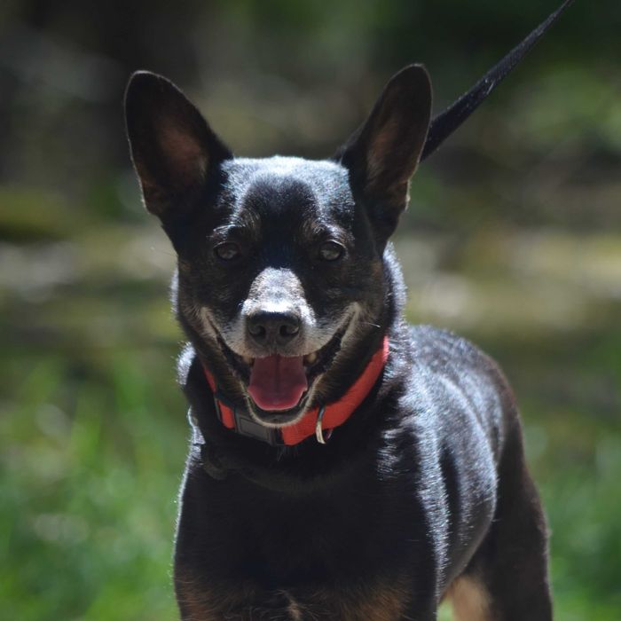 SZCZEPAN potrzebuje czasu, żeby ponownie zaufać człowiekowi