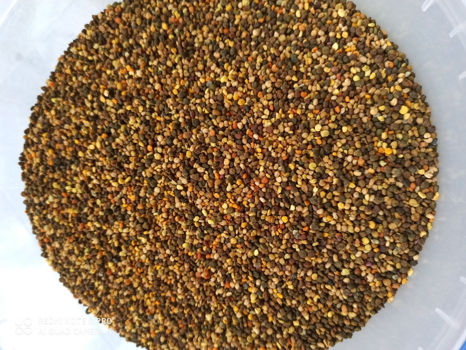 Бджолиний пилок, перга, прополіс, мед гречаний, трутневий гомогенат