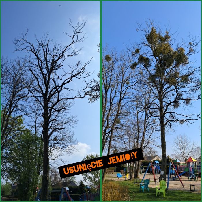 Wycinka drzew/Arborysta/Prace wysokościowe /Odśnieżanie-Mycie Dachów