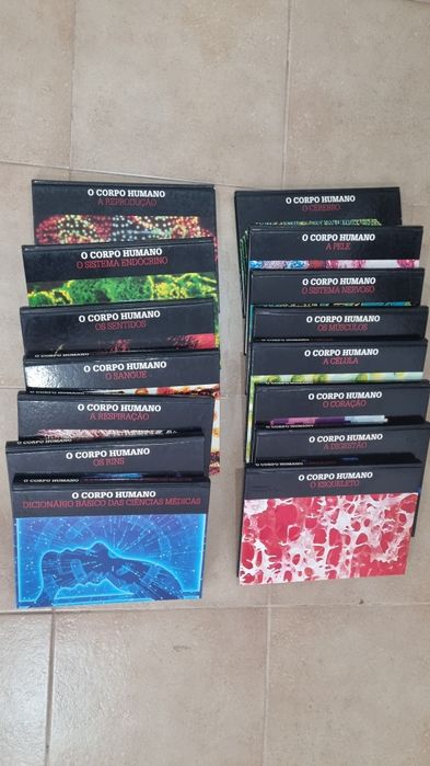 Coleção corpo humano