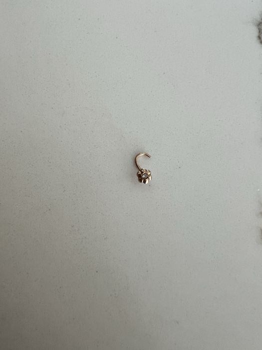 сережка в ніс