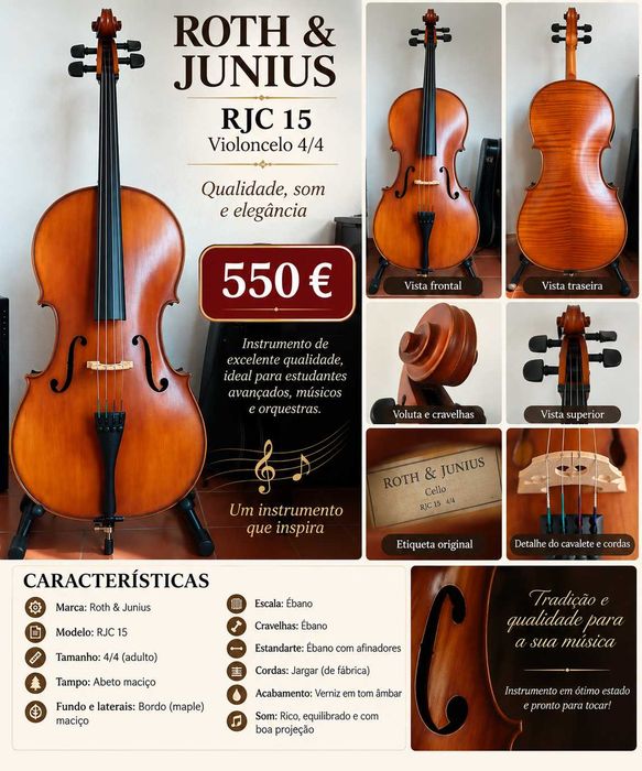 ViolonCello 4/4 Usado Roth & Junius