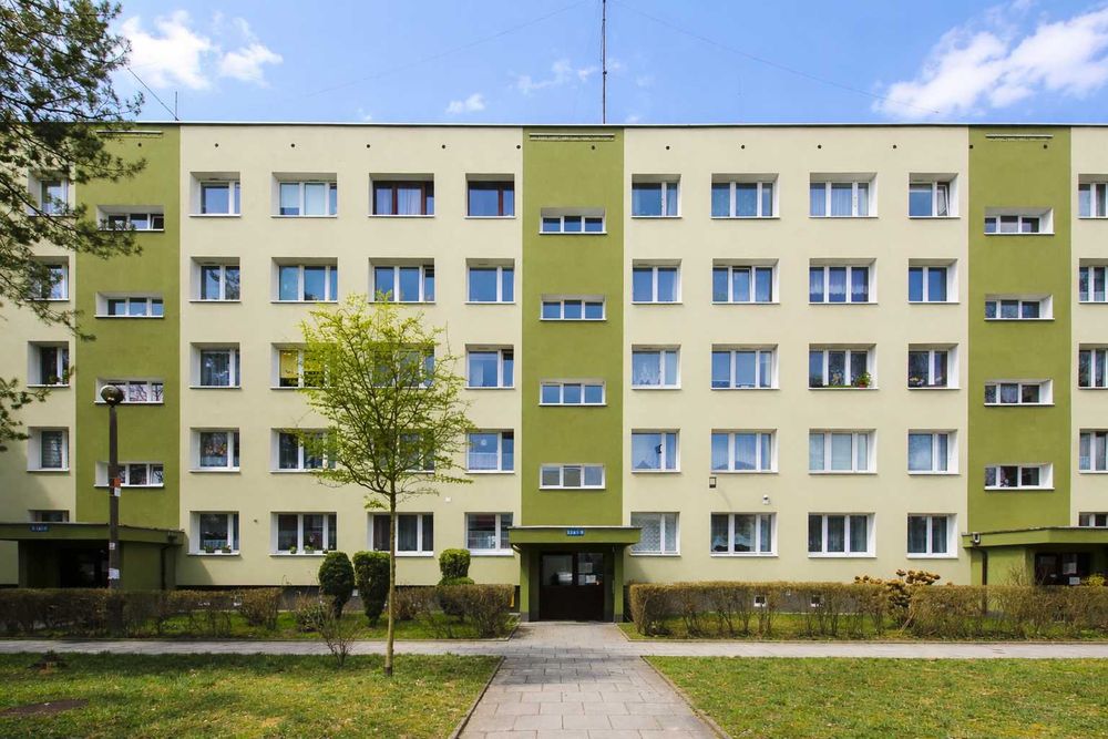 Zdjęcie 8