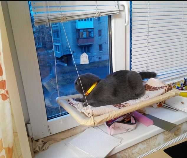 Лежанка для кота оконная/Лежак для кошки на окно/Лежанка на вікно