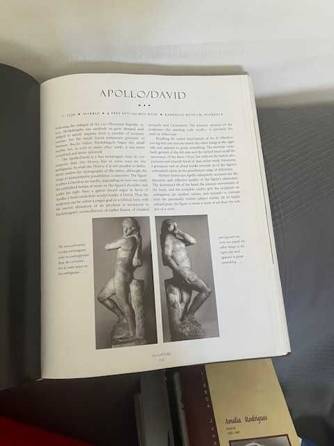 Livro Michel Angelo