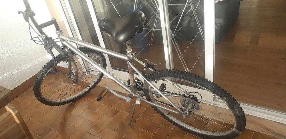 Bicicleta Adulto