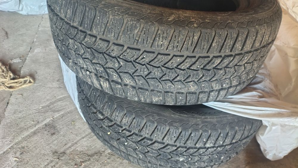 резина DEBICA 205/55 r16