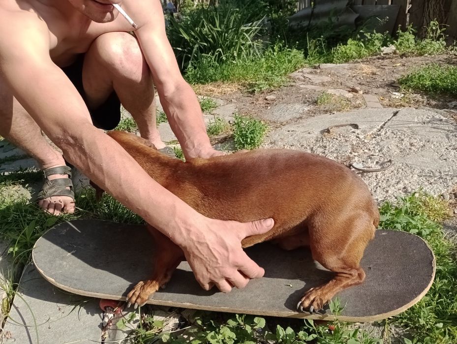Скейт легкий, професійний, універсальний