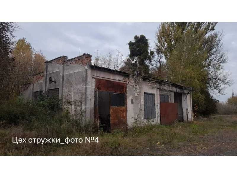 ПРОДАЖ - Цех стружки - майстерня РММ, їдальня та цех хвойного екстракту, площею 1289,0 кв.м. м. Володимир, вул. Сонячна, 1