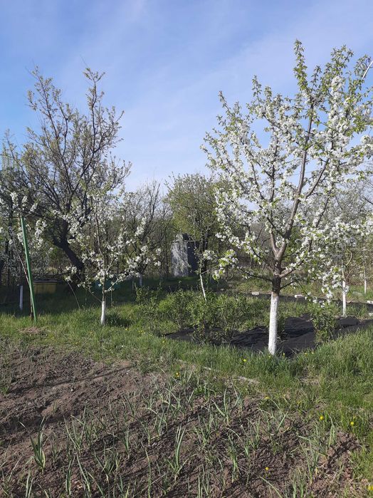 Дача в с. Ямбург