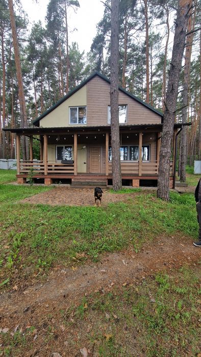 Дім аренда  ,берег Дніпра, ліс