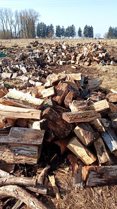 TANI OPAŁ - Drewno liściaste (Topola, buk, wiąz, klon)