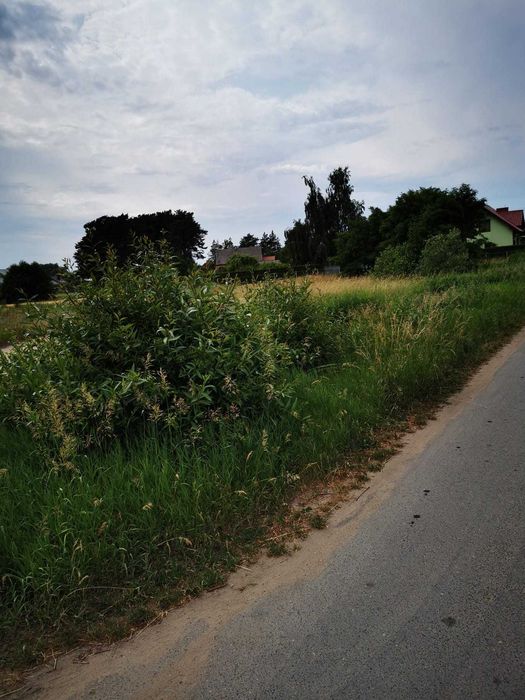 Działka budowlana usługowa Grzebienisko 13km od Tarnowa Podgórnego - Widok 3