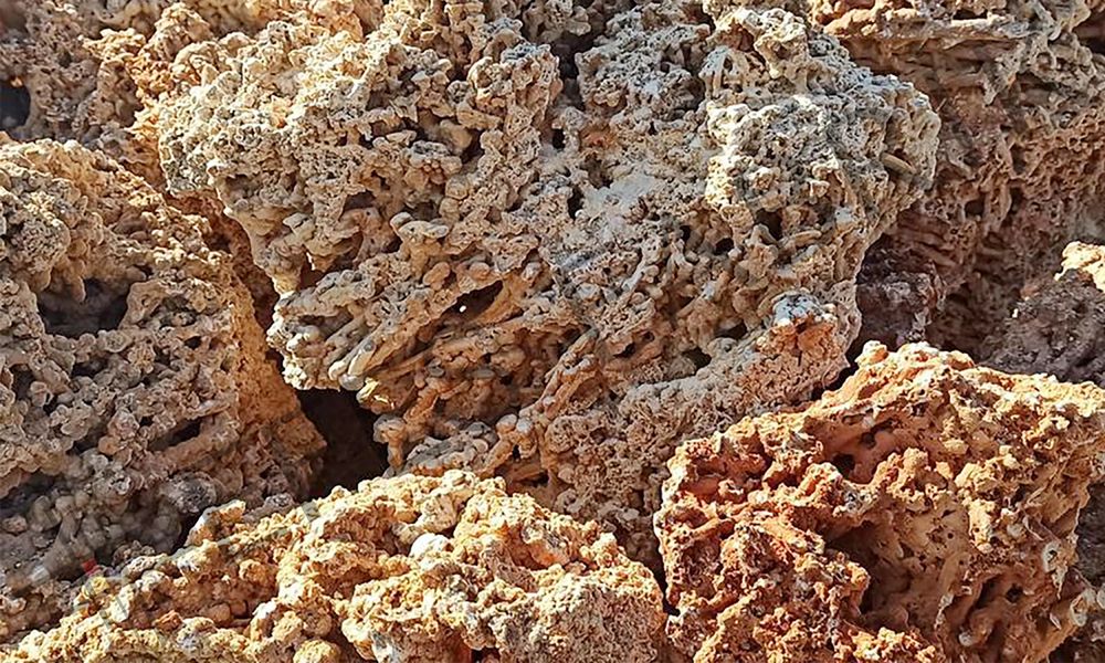 CZERWONY WAPIEŃ Kamień do Akwarium Koralowiec Spaghetti malawi Skała