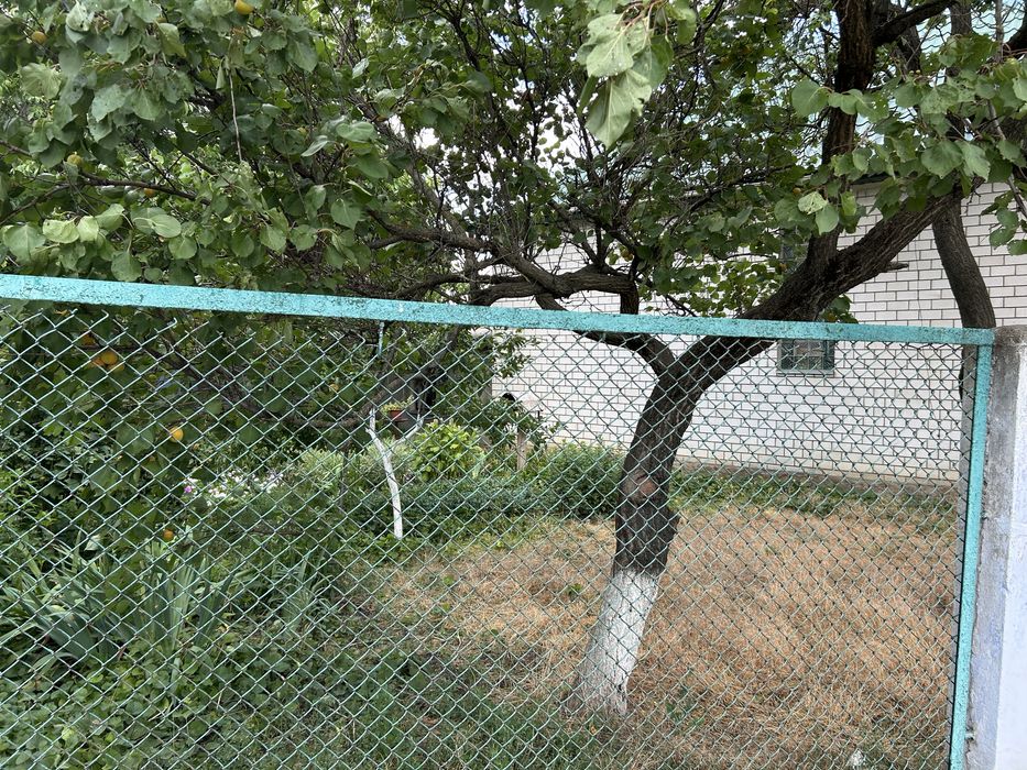 Продається будинок у Березівці