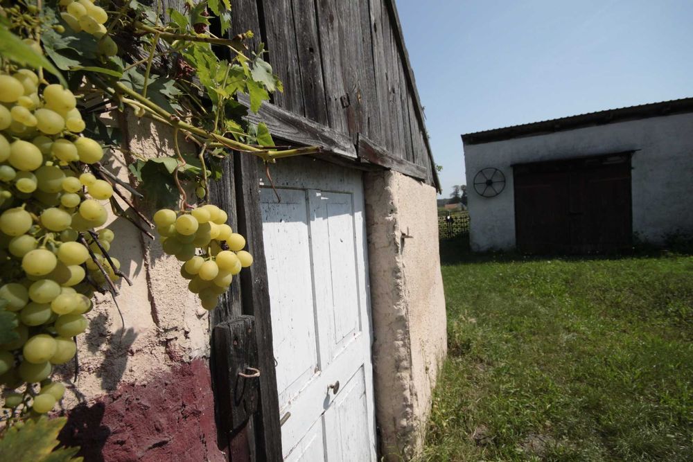 Działka rolna 48 arów, staw, zabudowania
