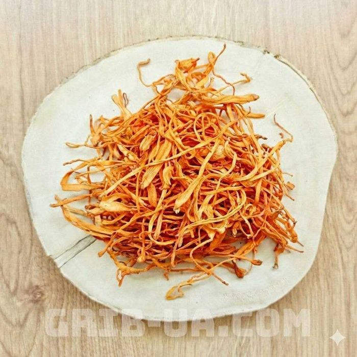 КОРДИЦЕПС МИЛИТАРИС (цельн. молотий) - Энергия, Выносливость, Тонус