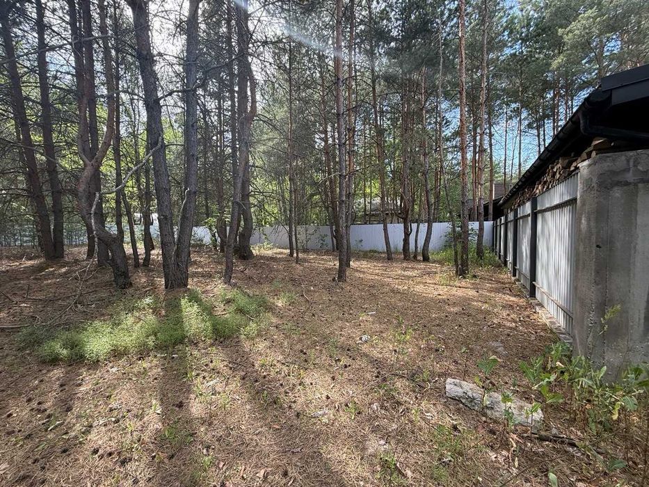 Продам ділянку 12 сот.- межує з сосновим лісом! Тиша, свіже повітря, сосни - атмосфера відпочинку гарантована!
