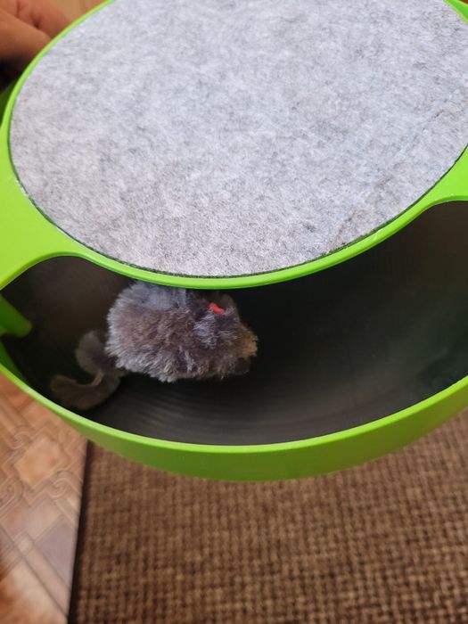 Іграшка для котика