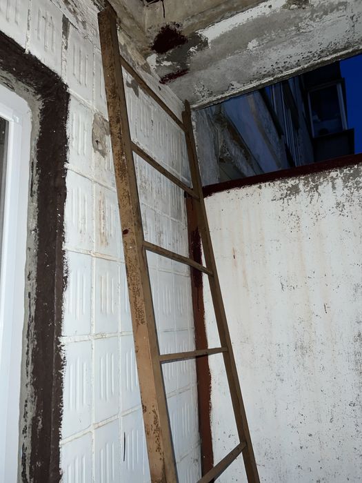 Драбина металева 268 см довжини