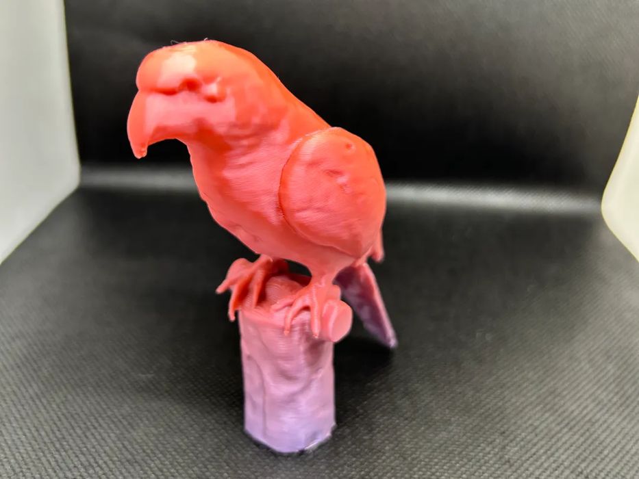 Parrot on a Tree Trunk Base