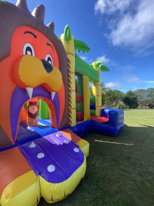 Insuflavel leão - venda