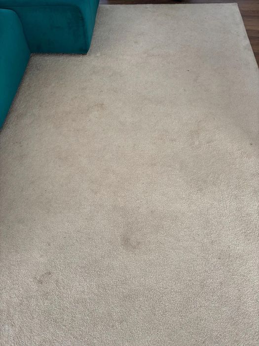 Limpeza e higienizacao