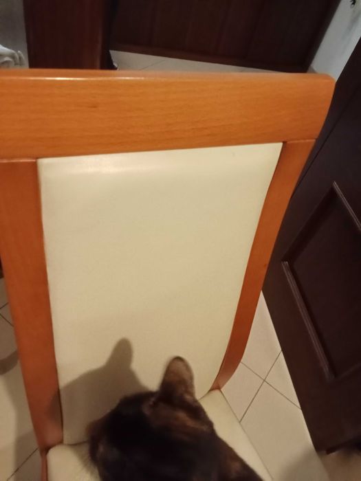 4 cadeiras em cerejeira