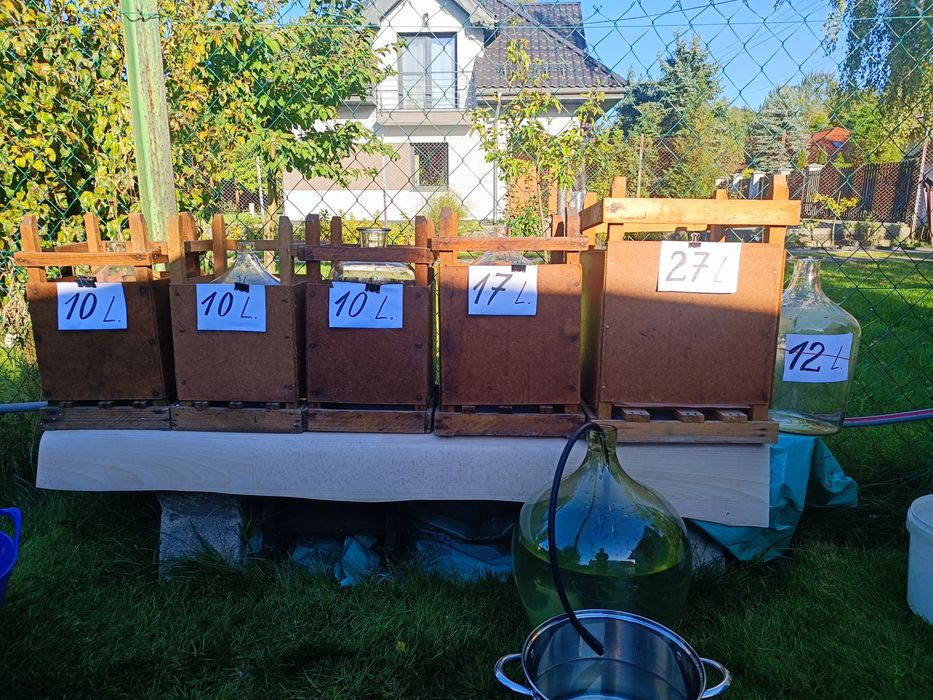 Balony na wino lub inne trunki