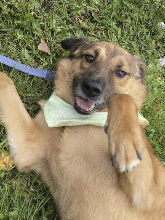 Słodziak ok. 5-letni