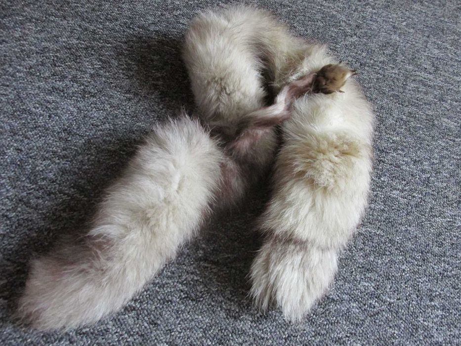 Kołnierz lisa futerkowy PRL