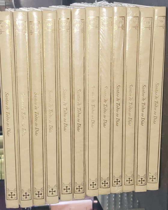 Santos de Todos os Dias 12 Volumes